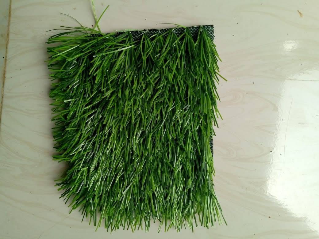 Artificial Grass